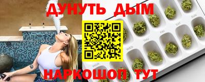 сатива Коммунар