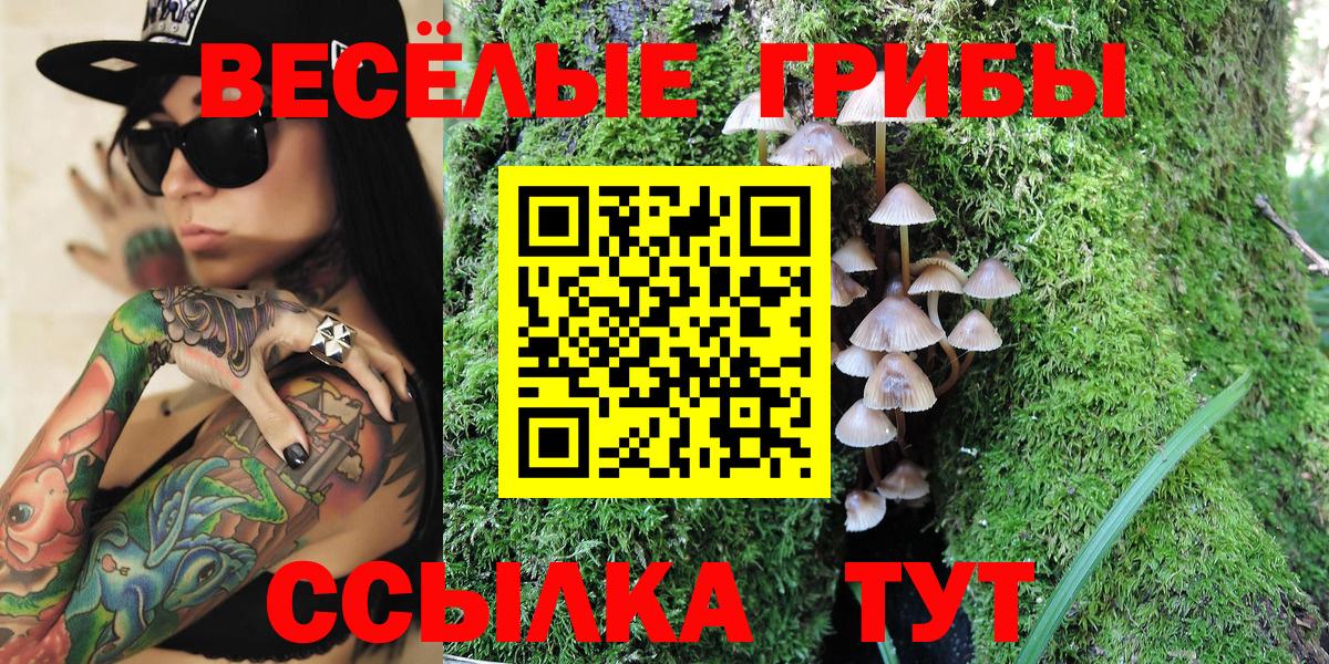 Галлюциногенные грибы мицелий  Вход с VPN  Кизляр 